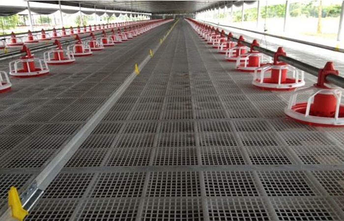 Quy trình thi công sàn nhựa nuôi vịt